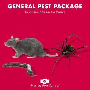 General Pest Package