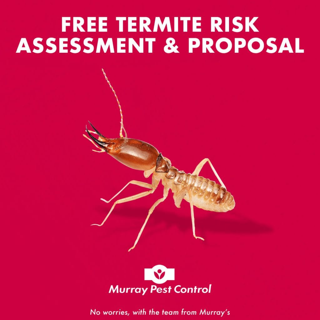 Sentricon®: The Key to Effective Termite Prevention - Buckaroo