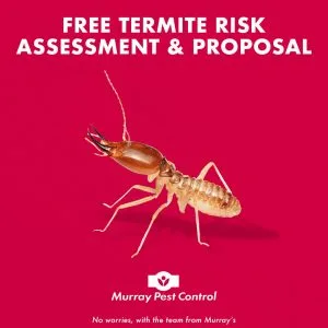 Free Termite Risk Assessment & Proposal