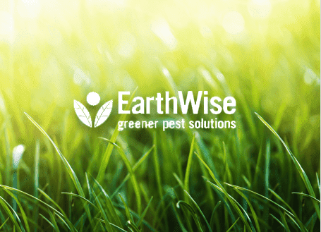 Earth_Wise