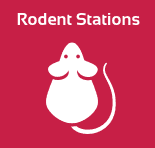 Rodent_Icon