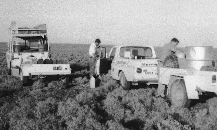 historic photo of murray pest control workers