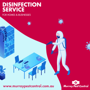 Disinfection Service Graphic