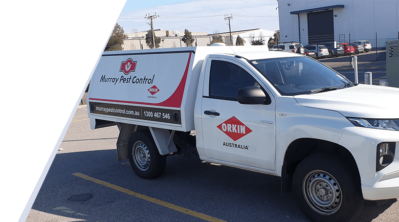 Murray Pest Control ute parked