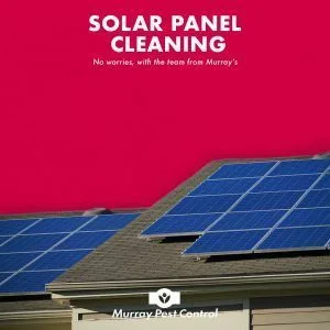 Solar Panel Cleaning