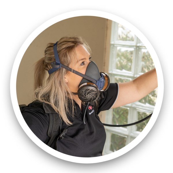 Pest Control Adelaide Adelaide Pest Control & Pest Inspections